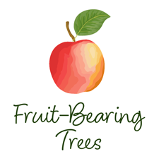fruit bearing Trees