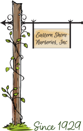 Eastern Shore Nursery Logo